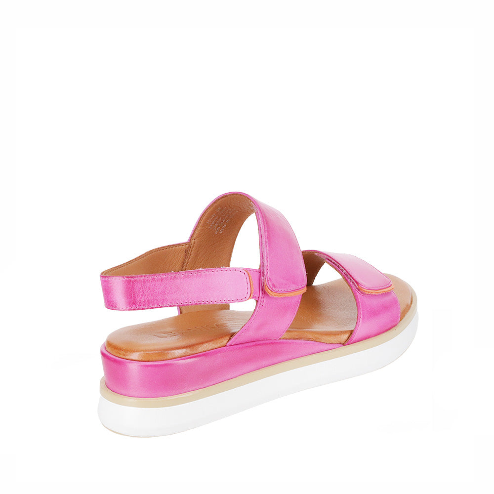 LE SANSA HOLLY HOT PINK - Zeke Collection