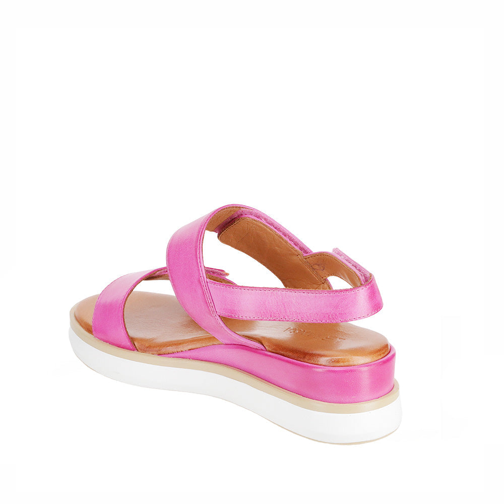 LE SANSA HOLLY HOT PINK - Zeke Collection