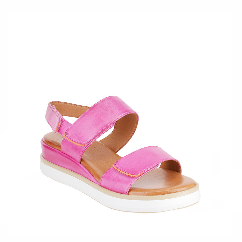 LE SANSA HOLLY HOT PINK - Zeke Collection