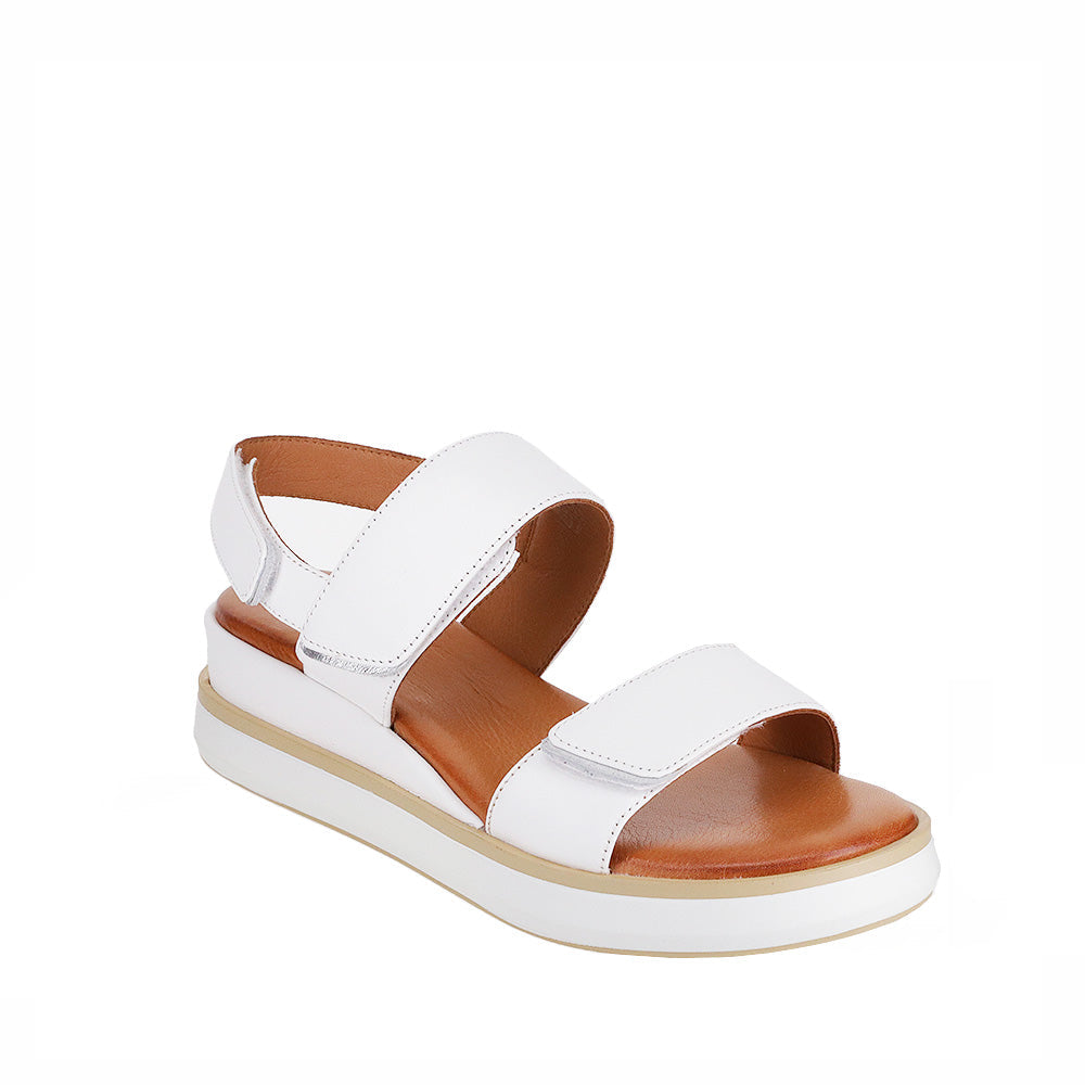 LE SANSA HOLLY WHITE - Zeke Collection