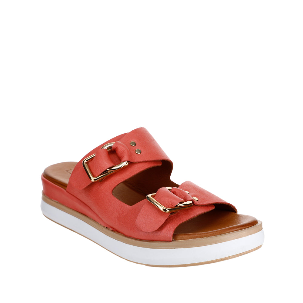 LESANSA HOLISTER PEACH - Zeke Collection