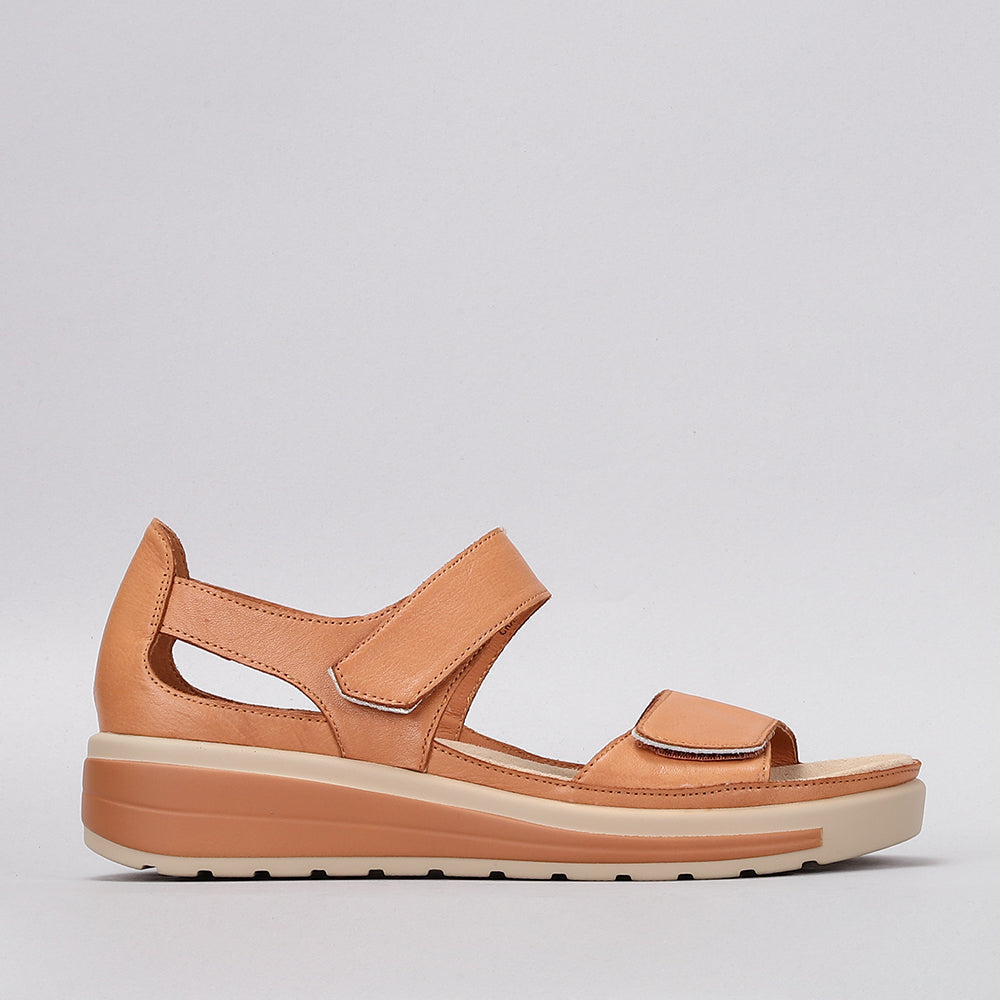 NAKED ARCHES HAPPY TAN / SOFT GOLD