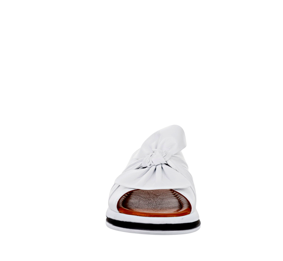 LE SANSA SALSA WHITE