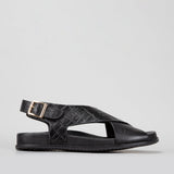 BLACK CROC