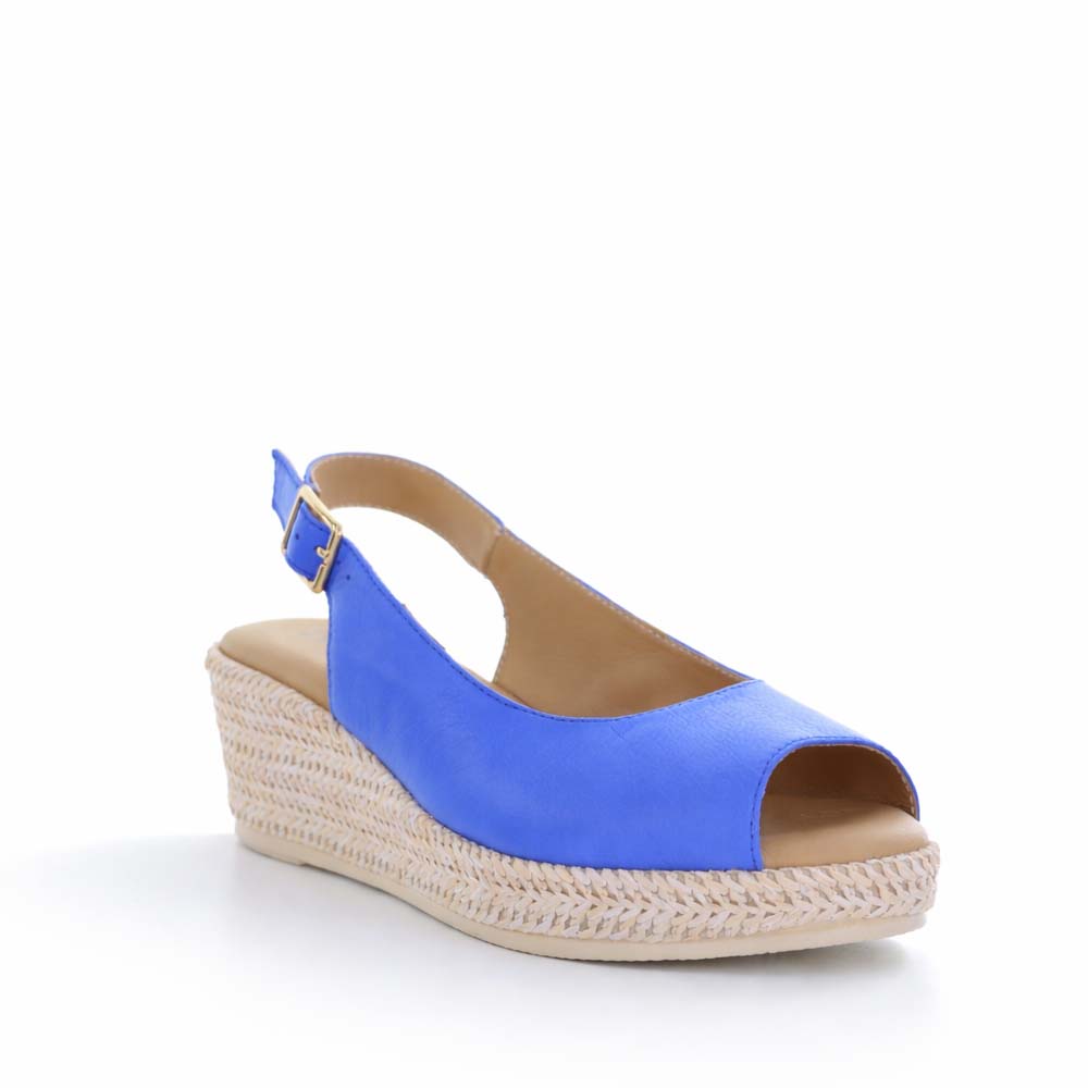 LE SANSA PETUNIA ROYAL BLUE