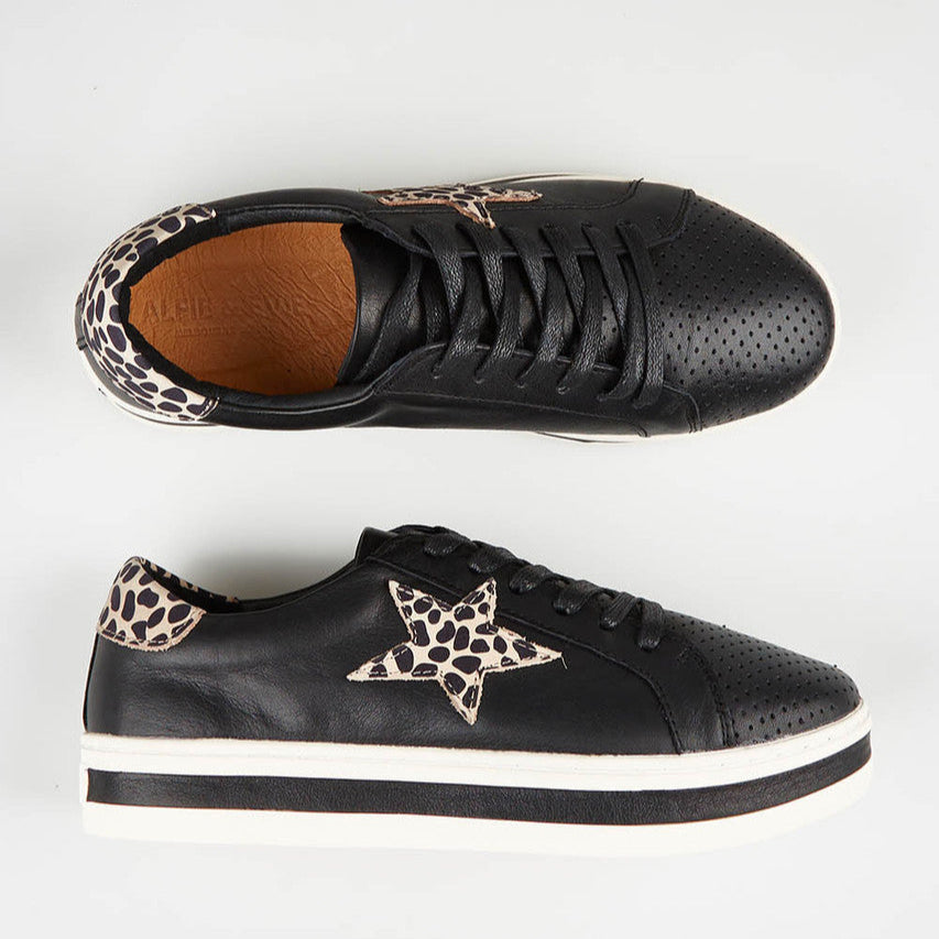 ALFIE &amp; EVIE PIXIE BLACK BROWN - Zeke Collection