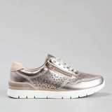 Champagne Beige