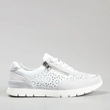 White Lt grey
