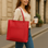 SECOND NATURE ST69 RED Women Handbags - Zeke Collection NZ