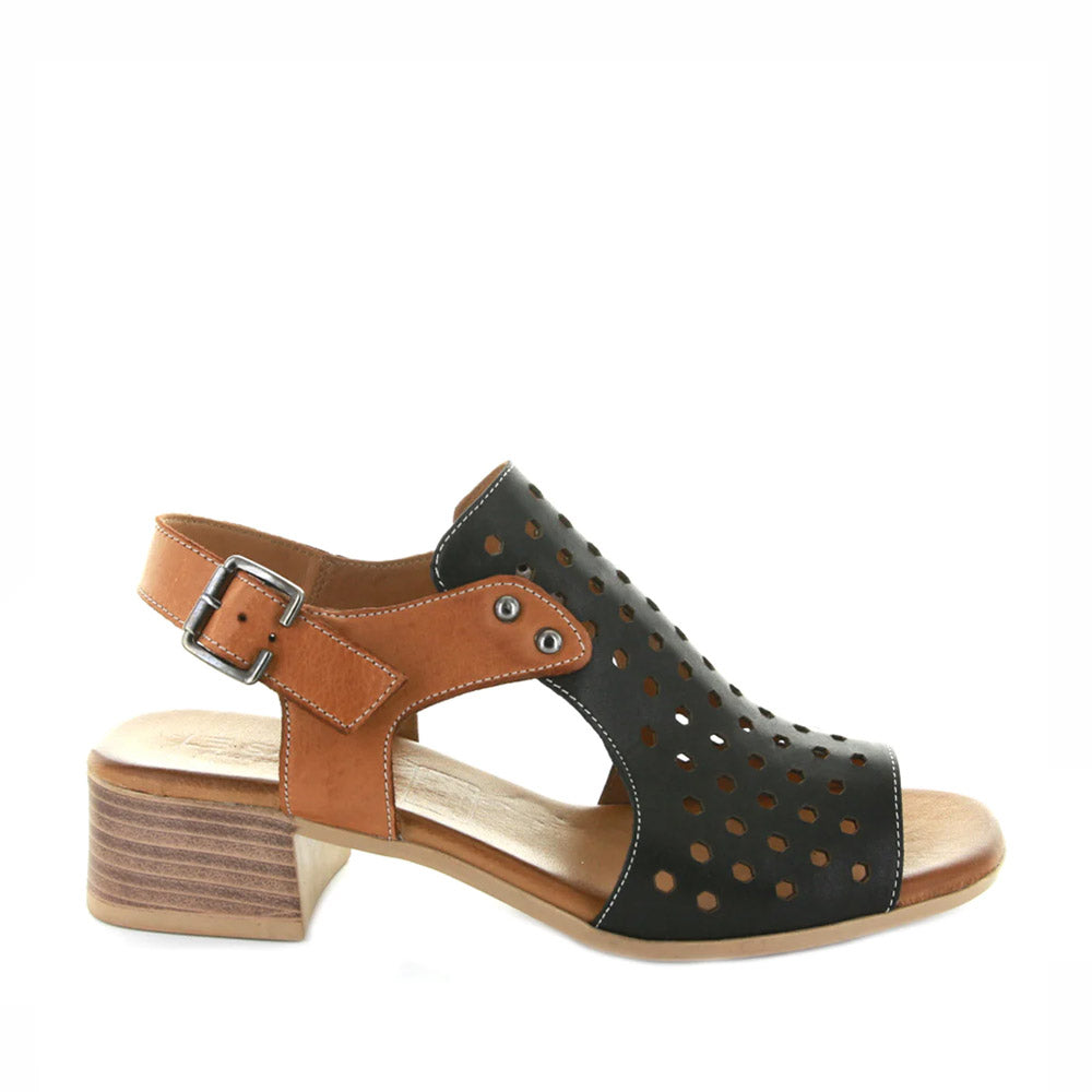 LESANSA DOHA BLACK TAN Women Sandals - Zeke Collection NZ