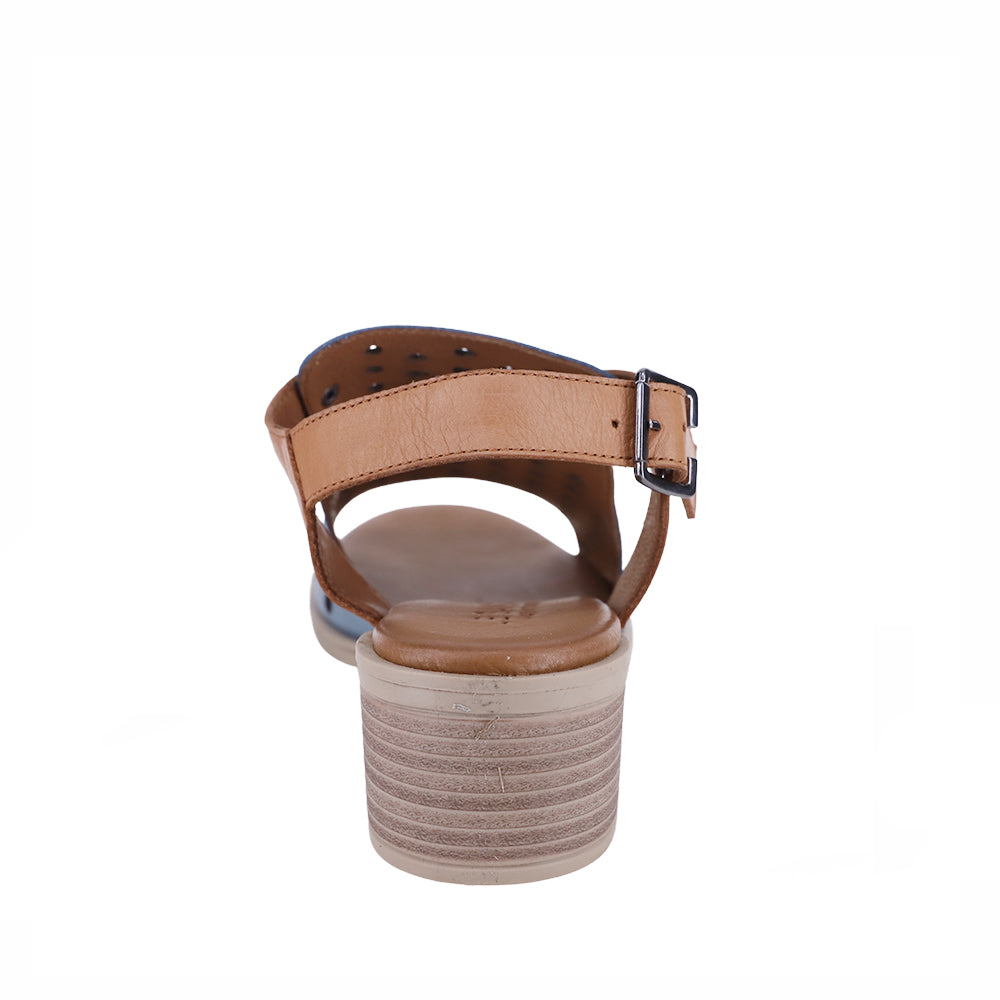 Le Sansa Lesansa Doha navy tan sandals with straps and open toes, displayed on a neutral background.