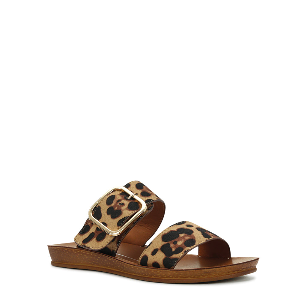 Los Cabos Doti Leopard flats showing a pointed toe, leopard print pattern, and sleek design.