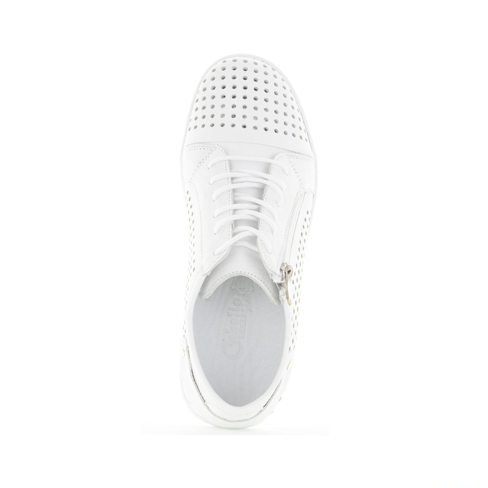 CABELLO EG17 WHITE - Zeke Collection