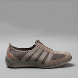 TAUPE