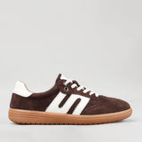 Chocolate / Ivory