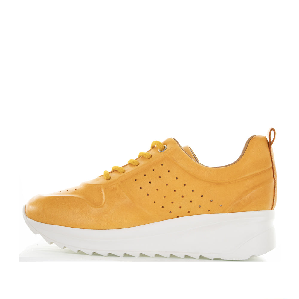 LE SANSA NEELA ORANGE - Zeke Collection