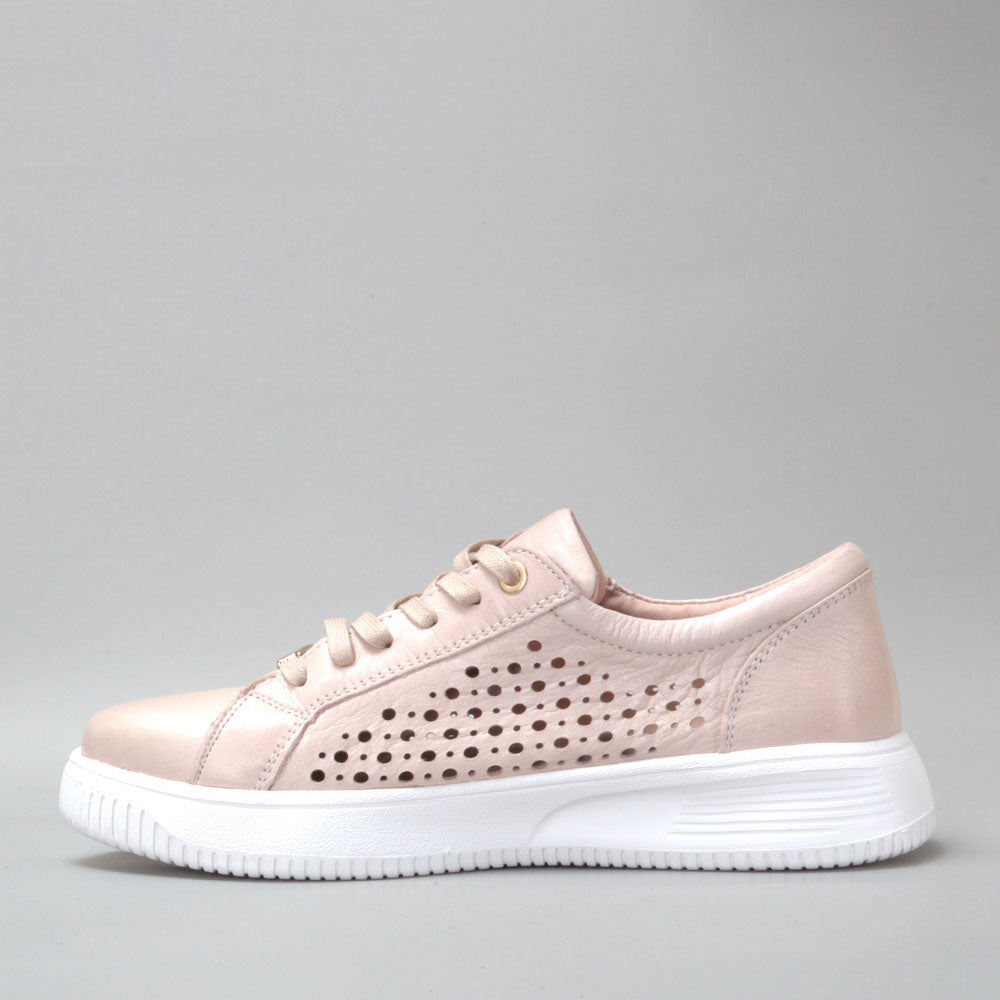 NAKED ARCHES NOBLE BLUSH - Zeke Collection