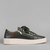 DK OLIVE