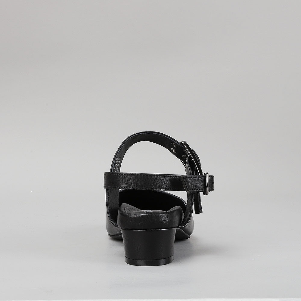NAKED ARCHES POP BLACK - Zeke Collection