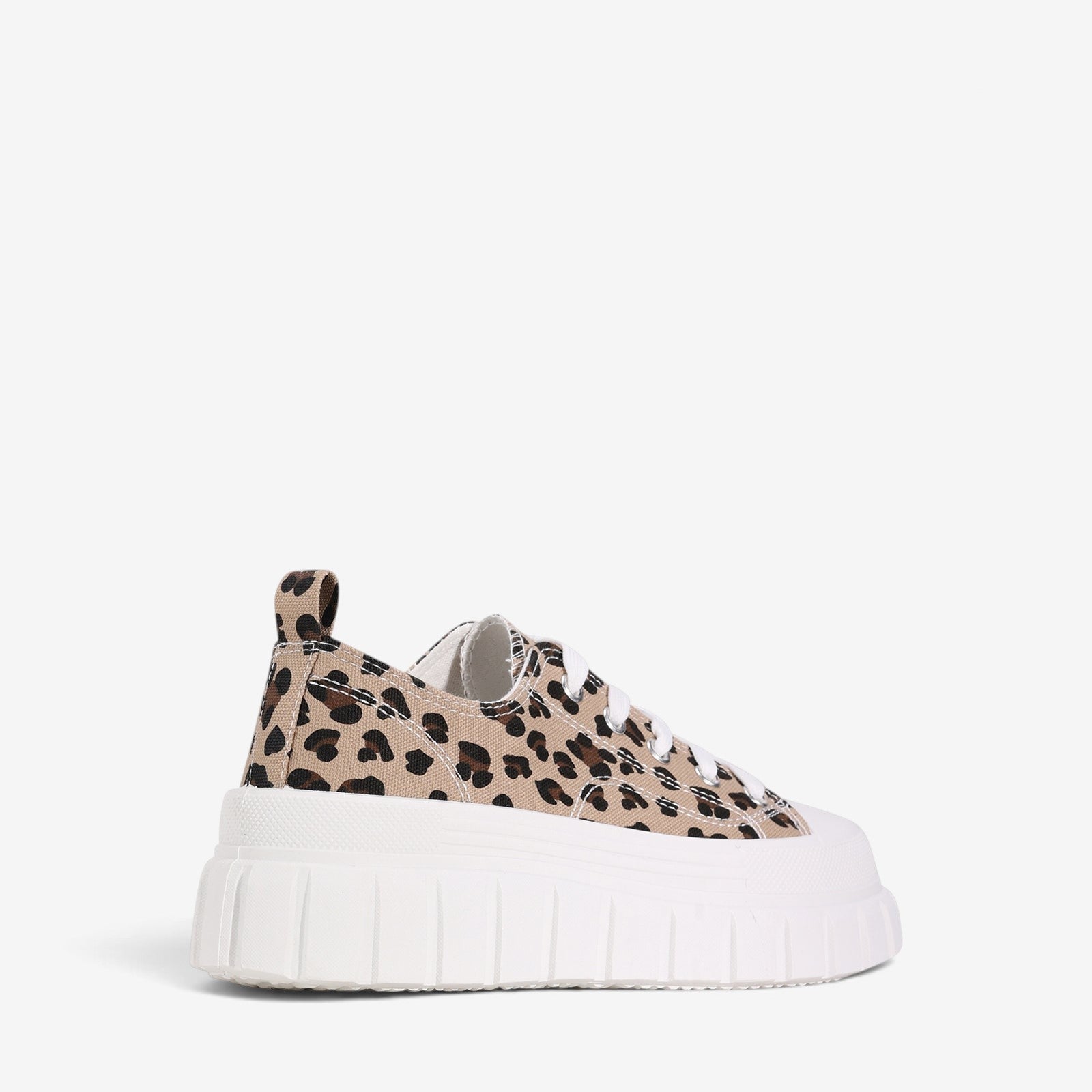 LOS CABOS RUNNA CHEETAH