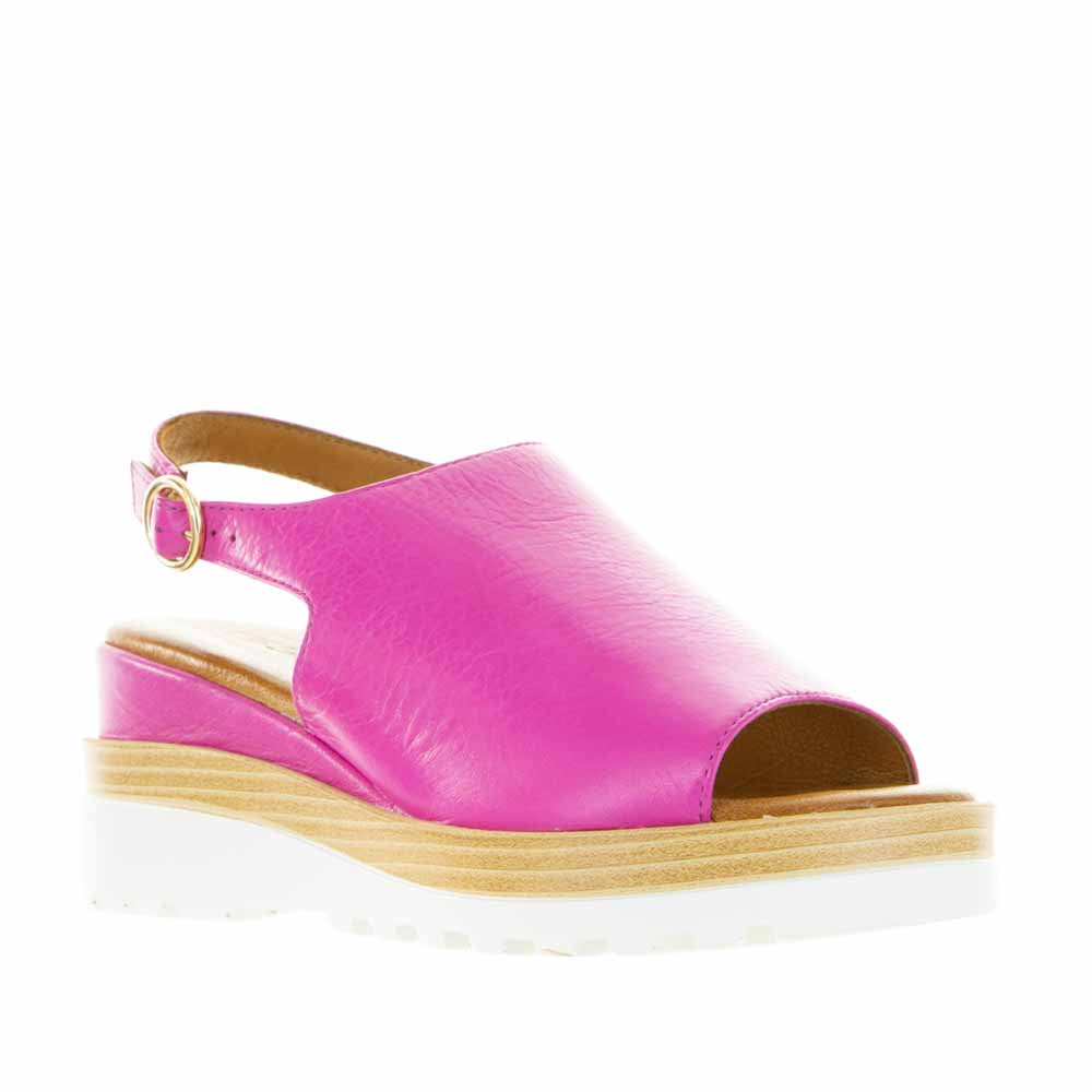 LE SANSA THUNDER FUCHSIA - Zeke Collection