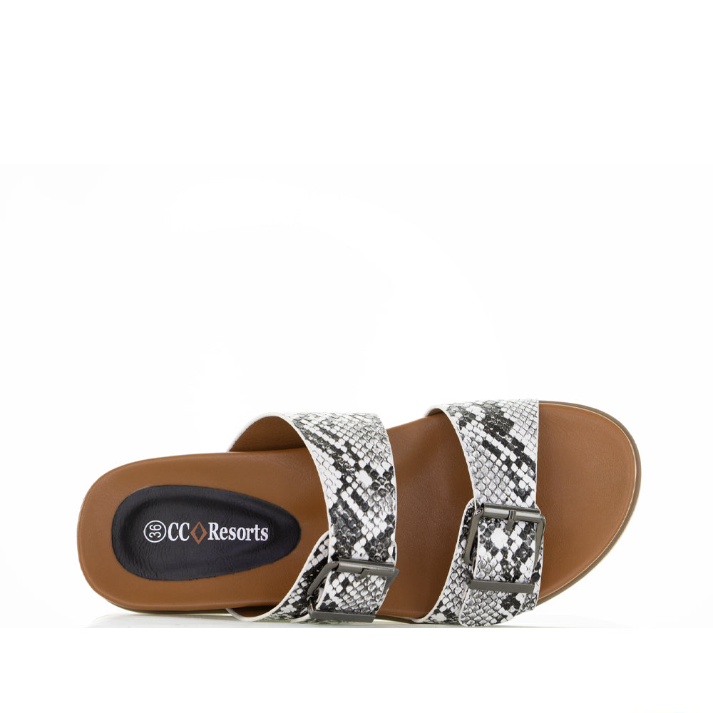 CC RESORTS YUMMY BEIGE PRINT - Zeke Collection