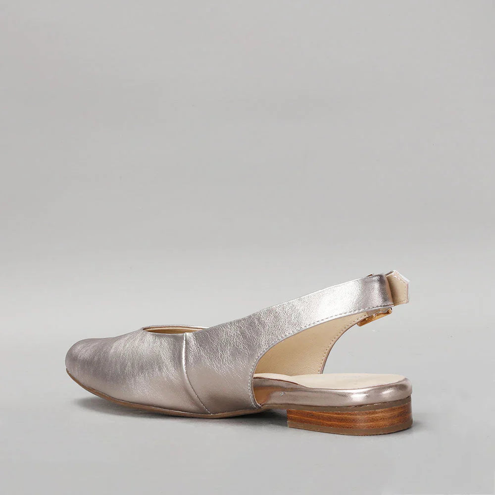 NAKED ARCHES ZODIAC CHAMPAGNE - Zeke Collection