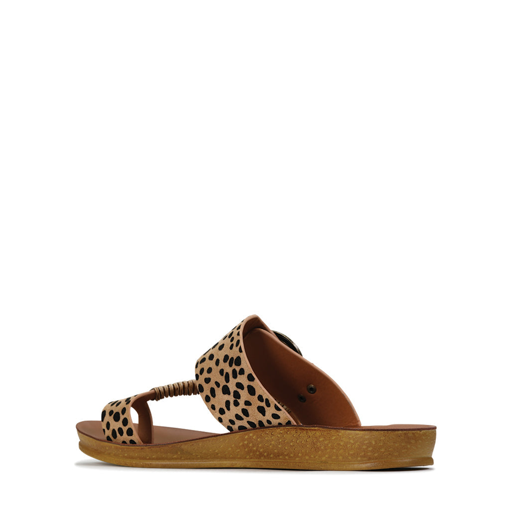 LOS CABOS BRIA CHEETAH Women Slip-ons - Zeke Collection NZ