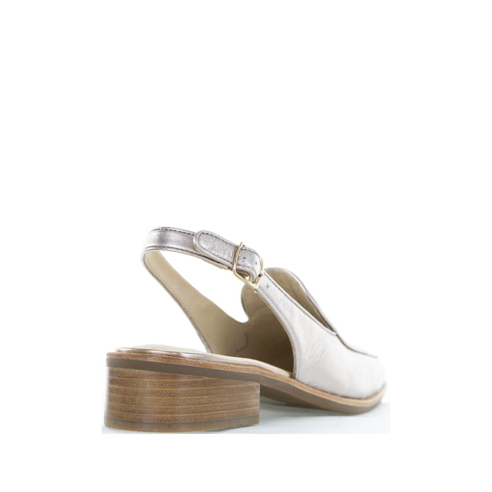 LE SANSA DANTER CHAMPAGNE - Zeke Collection