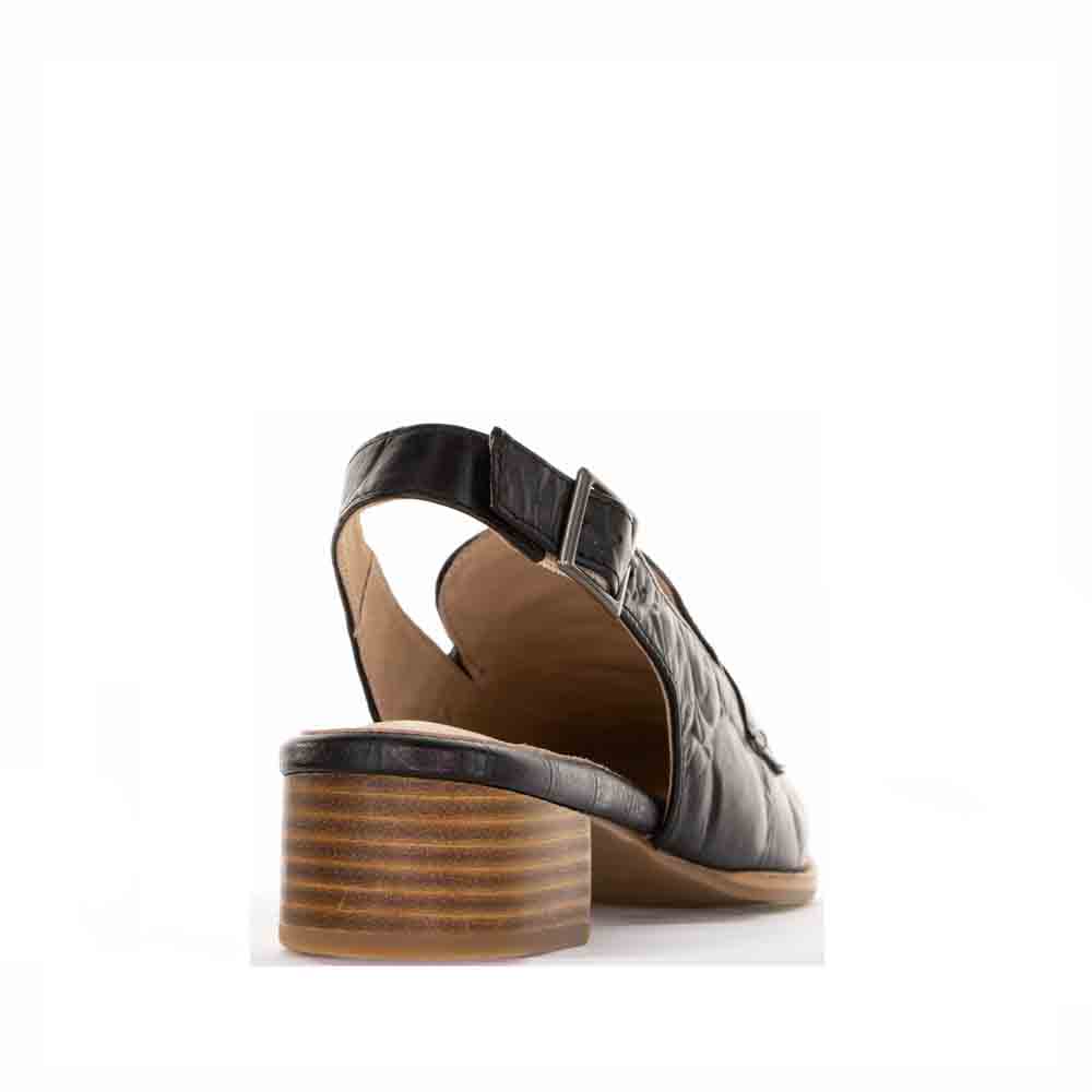 LE SANSA DEX BLACK - Zeke Collection