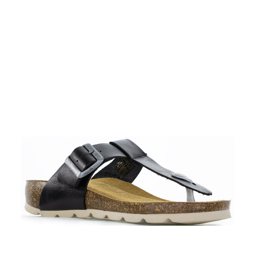 LE SANSA FARRAH BLACK - Zeke Collection