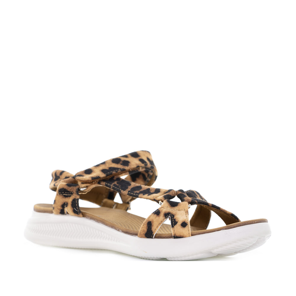 CC RESORTS FLOSS LEO PRINT - Zeke Collection