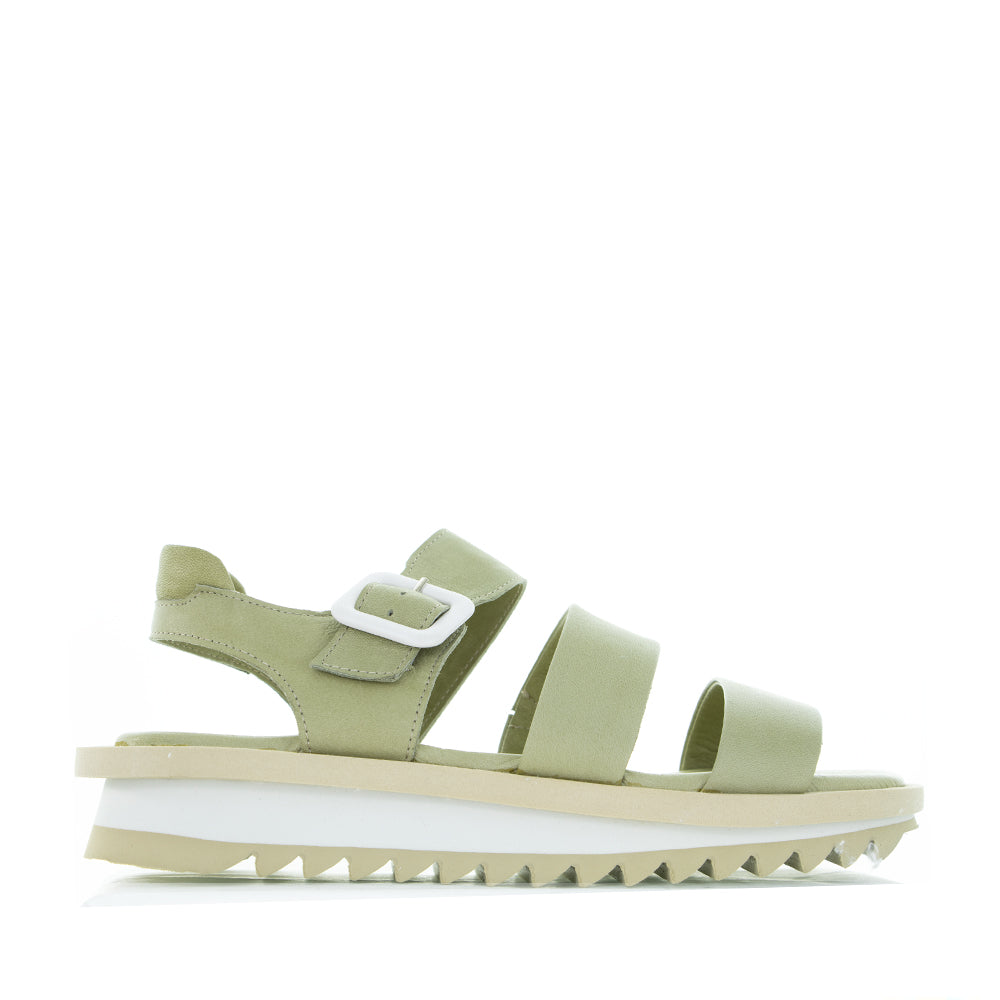 LE SANSA KRYSTAL OLIVE - Zeke Collection