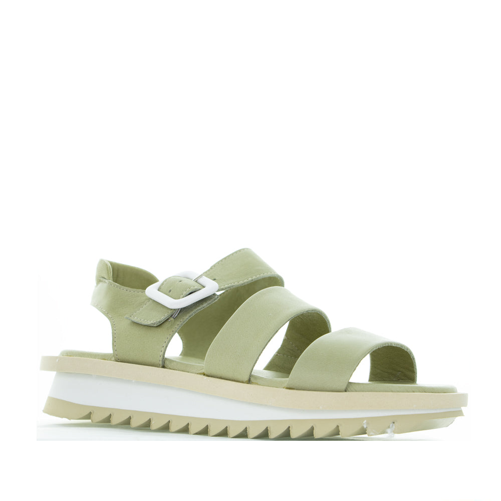 LE SANSA KRYSTAL OLIVE - Zeke Collection