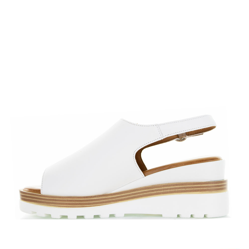 LE SANSA THUNDER WHITE - Zeke Collection