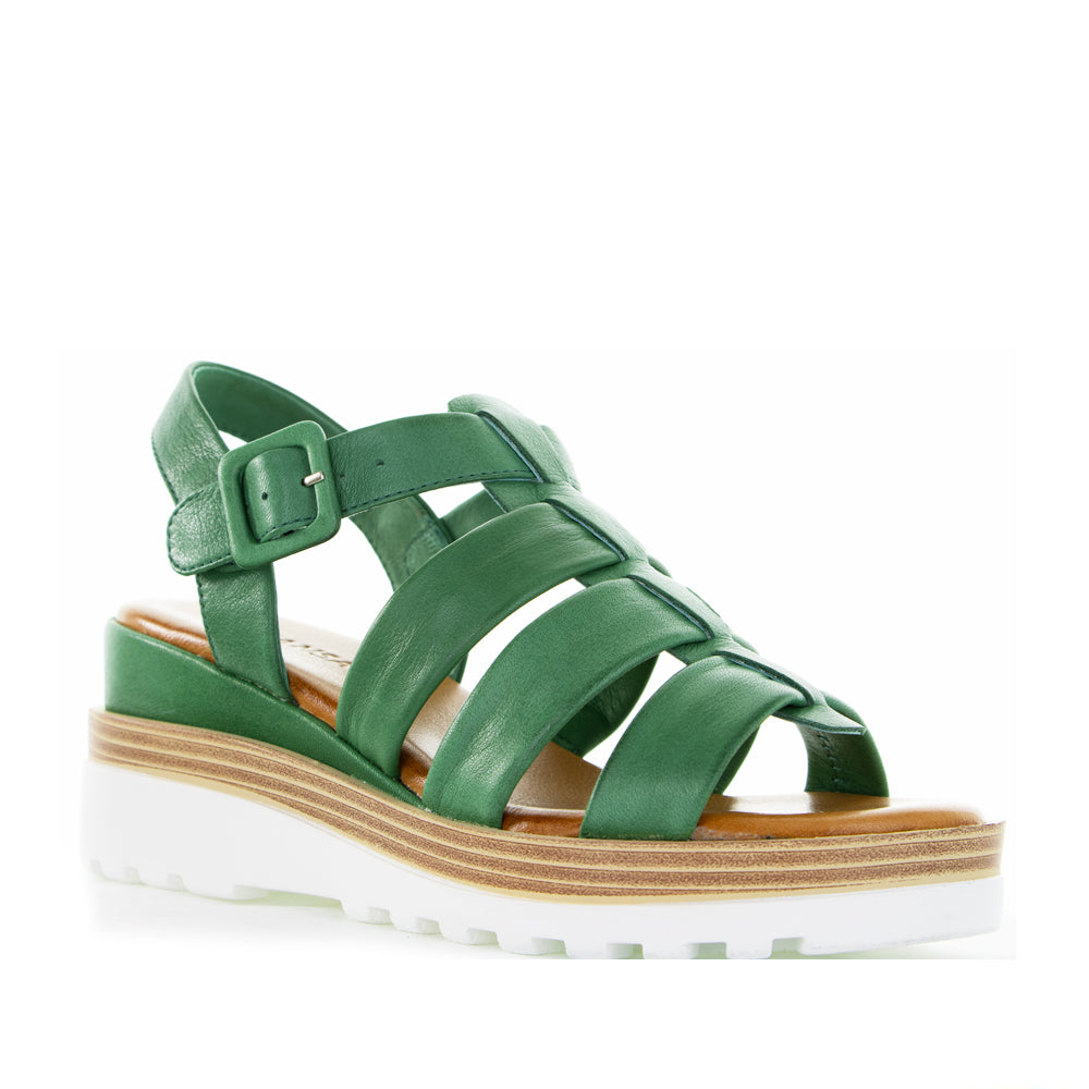 LE SANSA TOAST PINE - Zeke Collection