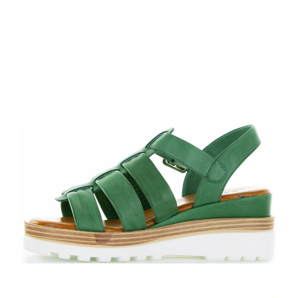 LE SANSA TOAST PINE - Zeke Collection