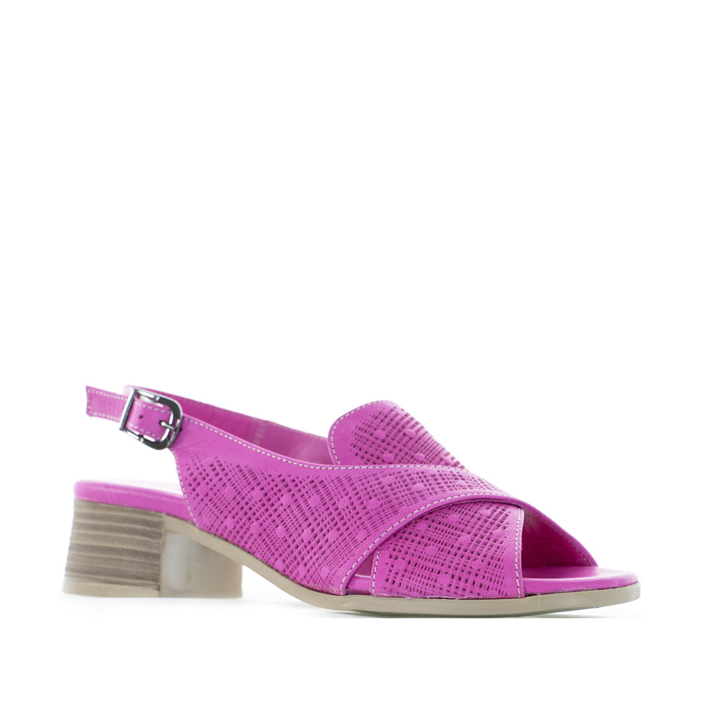 LE SANSA LITA FUCHSIA - Zeke Collection