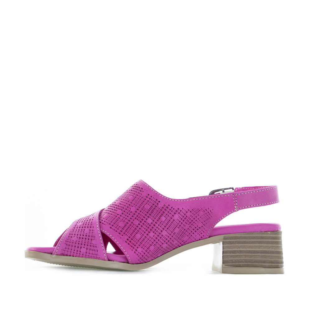 LE SANSA LITA FUCHSIA - Zeke Collection