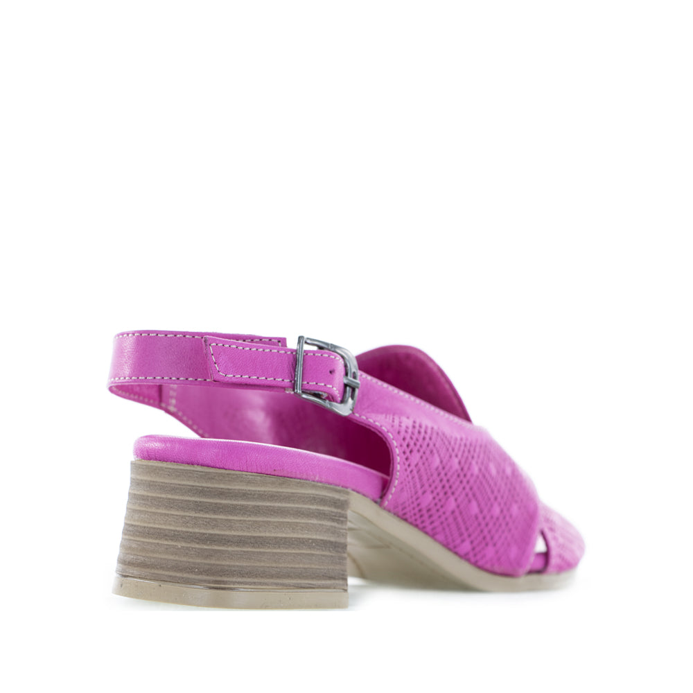 LE SANSA LITA FUCHSIA - Zeke Collection