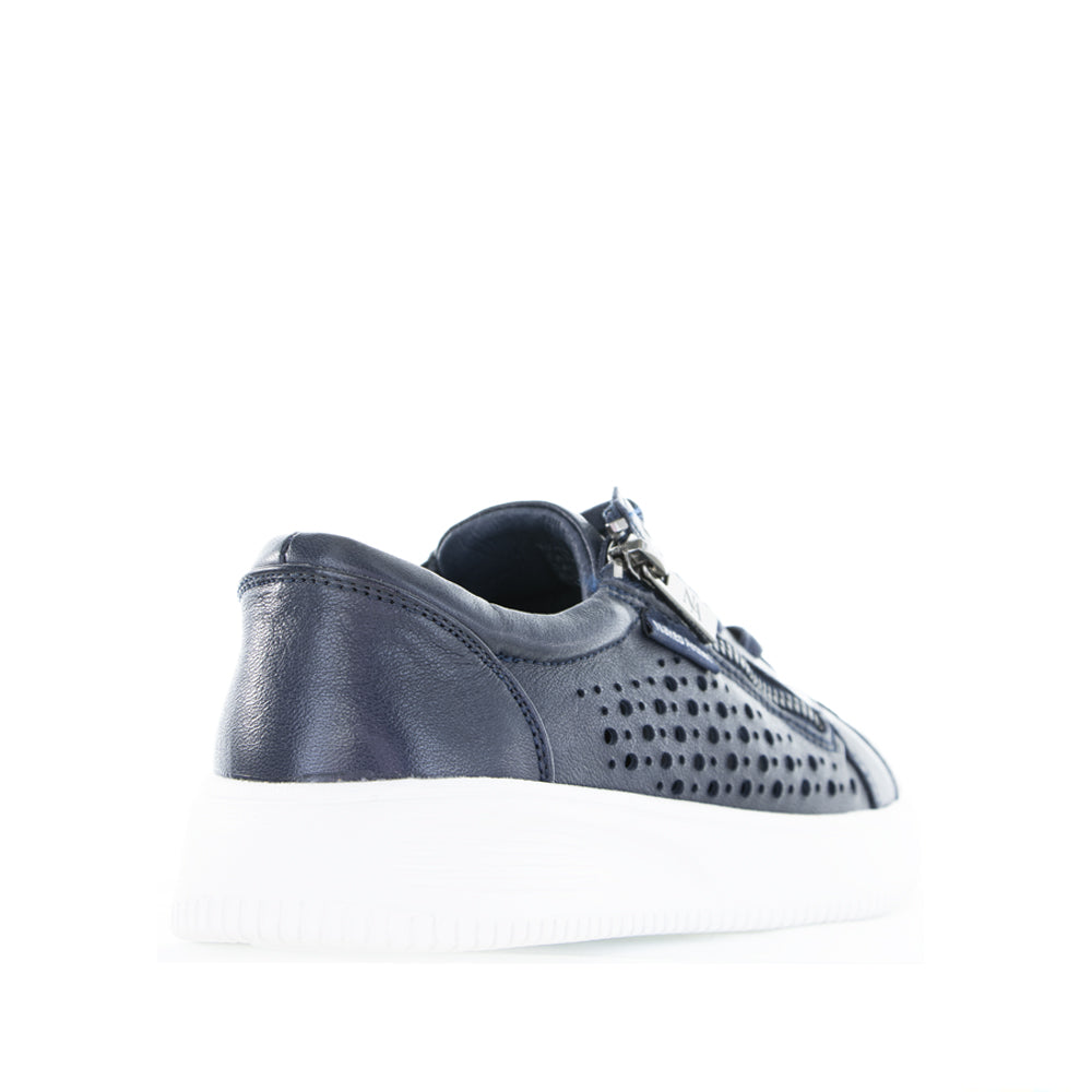 NAKED ARCHES NOBLE NAVY - Zeke Collection