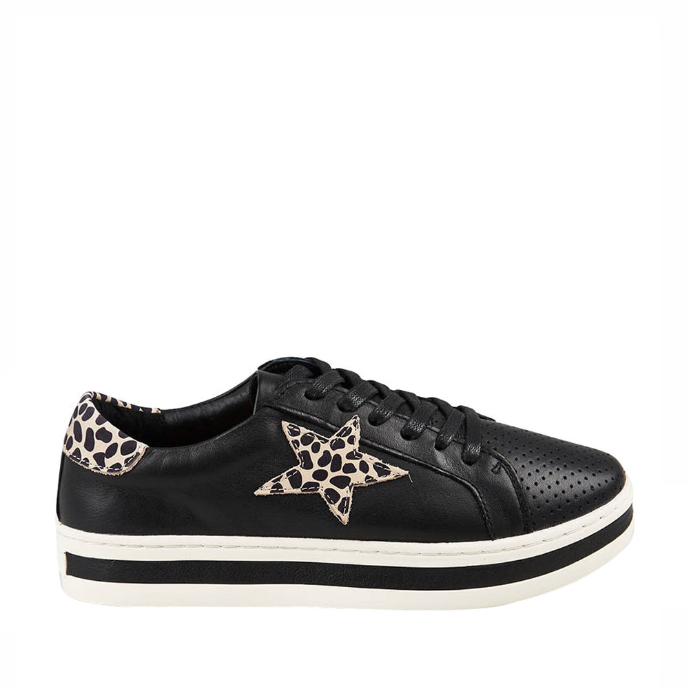 ALFIE &amp; EVIE PIXIE BLACK BROWN - Zeke Collection