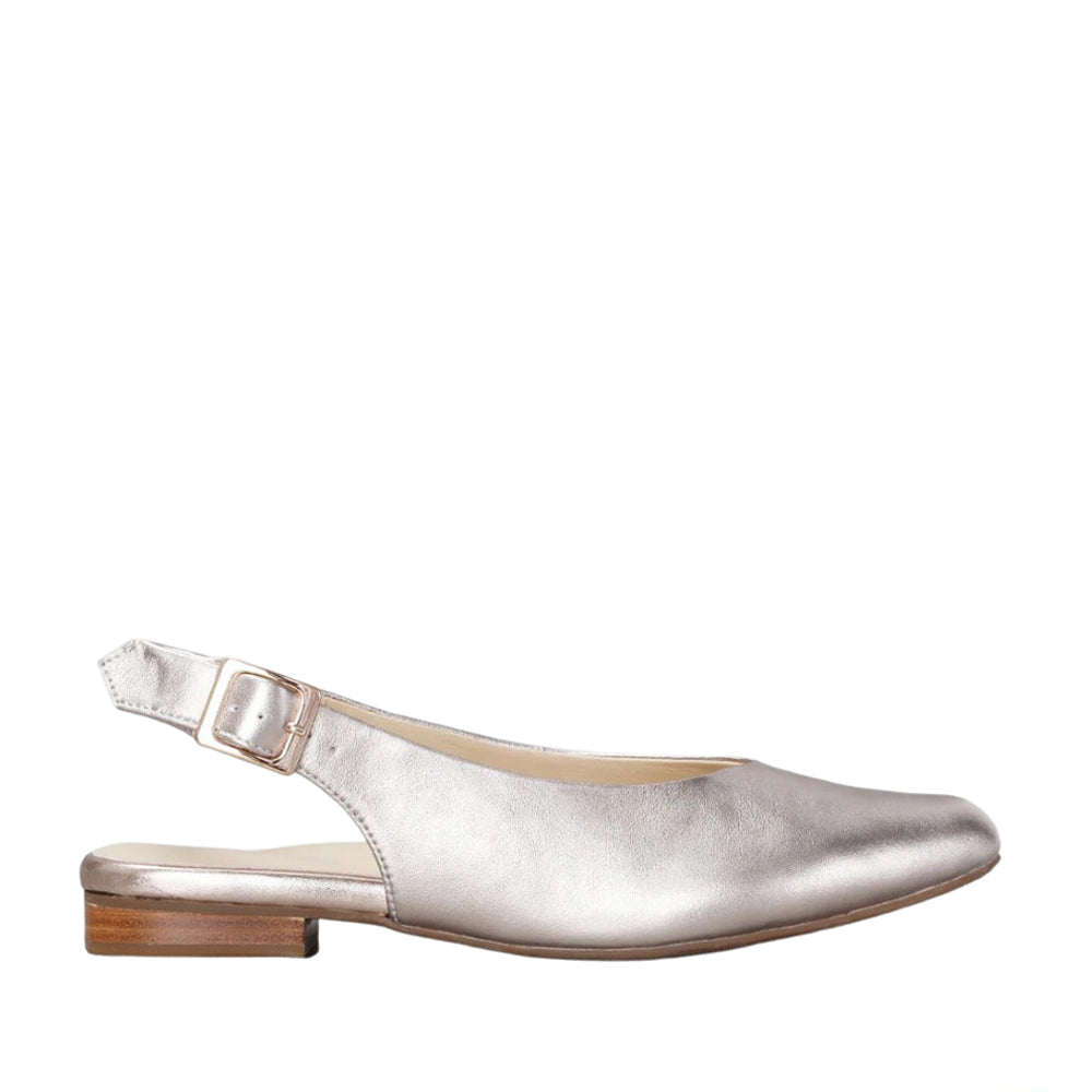 NAKED ARCHES ZODIAC CHAMPAGNE - Zeke Collection