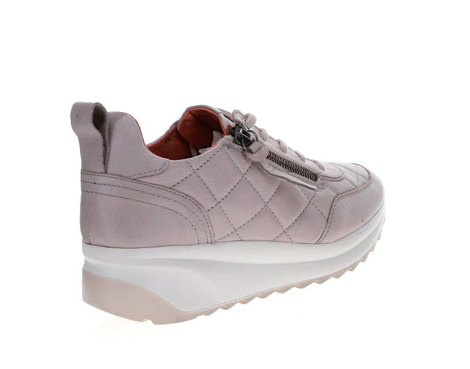 LESANSA ALBA GREY - Zeke Collection