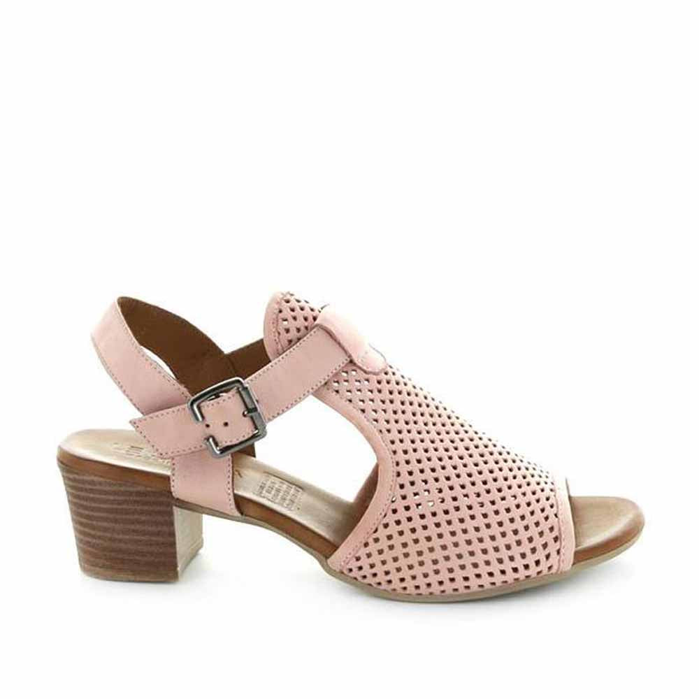 LE SANSA LYRA BLUSH - Zeke Collection