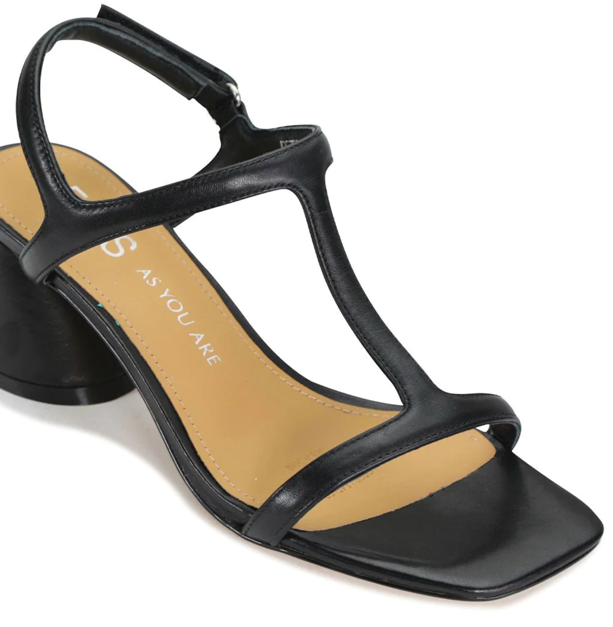 Eos Petras black heels with pointed toes and stiletto heels, stylish women's footwear for elegant occasions.