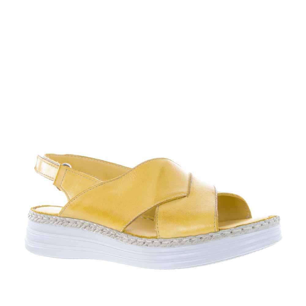 CABELLO RILEY MUSTARD - Zeke Collection