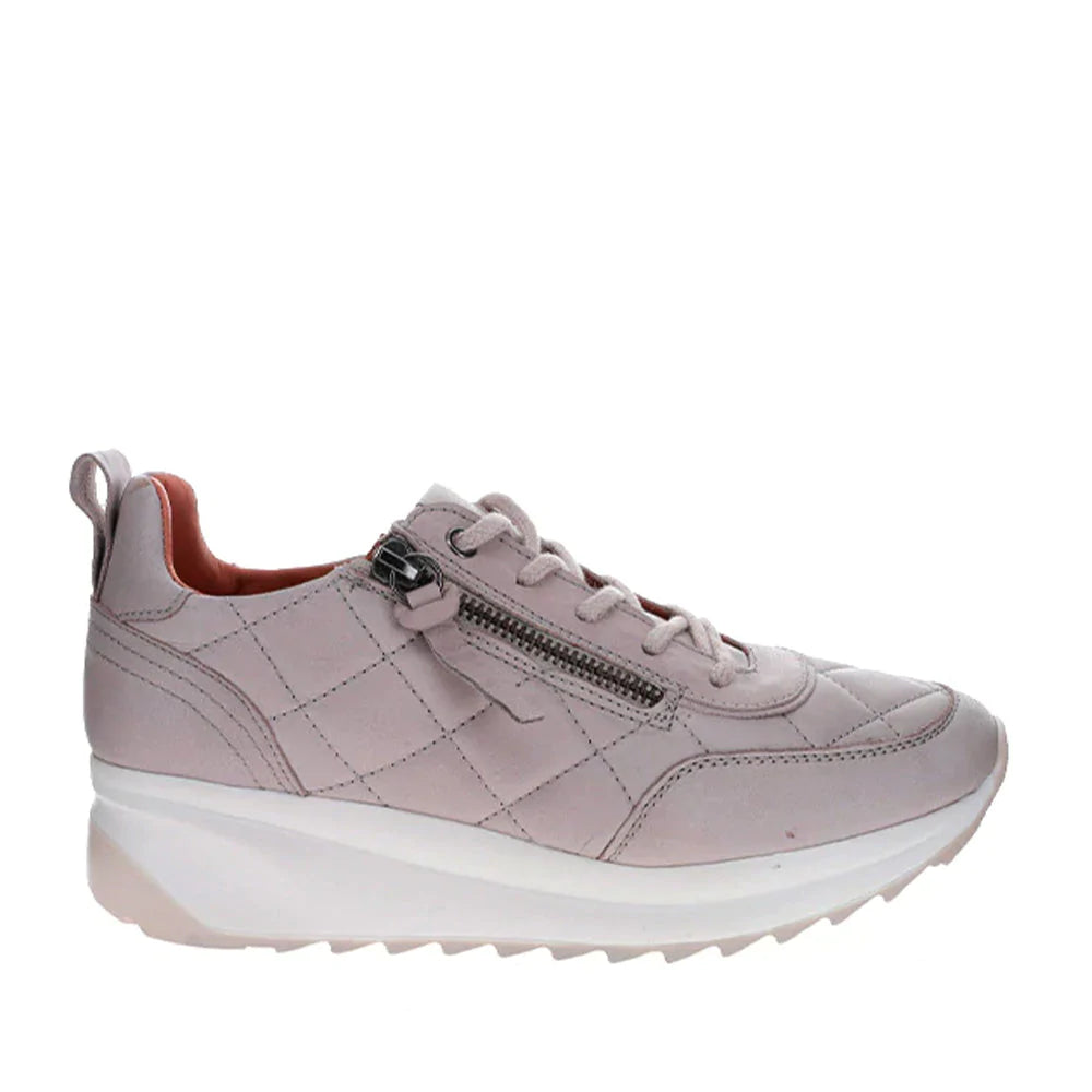 LESANSA ALBA GREY - Zeke Collection